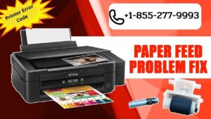 Epson Printer Paper Feed Problems